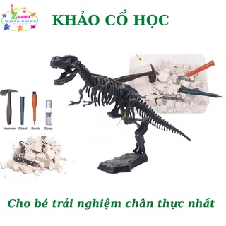 Đào khủng long 3d hộp đẹp cho bé
