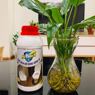 Làm sạch đồ dùng bằng sứ Smart TS