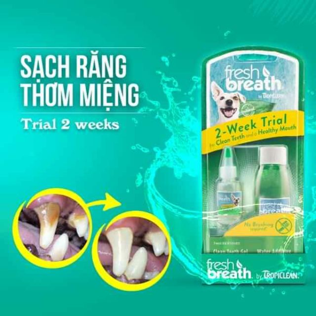 Bộ Mini Kit vệ sinh răng miệng cho chó Tropiclean Fresh breath 2-week trial