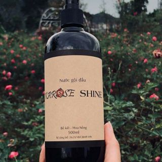 Nước gội đầu Karose Shine