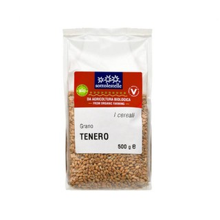 Hạt lúa mì hữu cơ Sottolestelle 500g