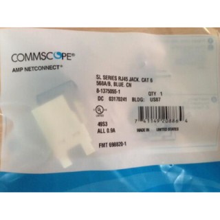 Nhân mạng cat6 âm tường Commscope AMP