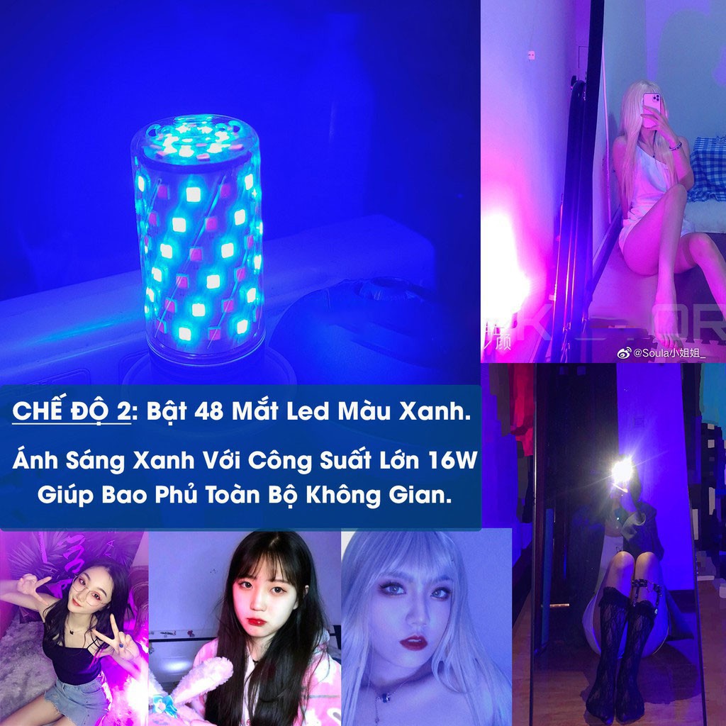 Đèn LED đổi màu chụp hình quay clip Tiktok - Tặng chuôi đèn