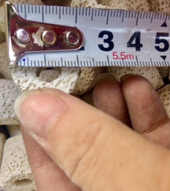 Sứ Viên Trắng Lọc Nước Hồ Cá 500gr