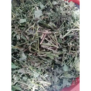 1kg Cây Đuôi Chuột Khô(mạch lạc)