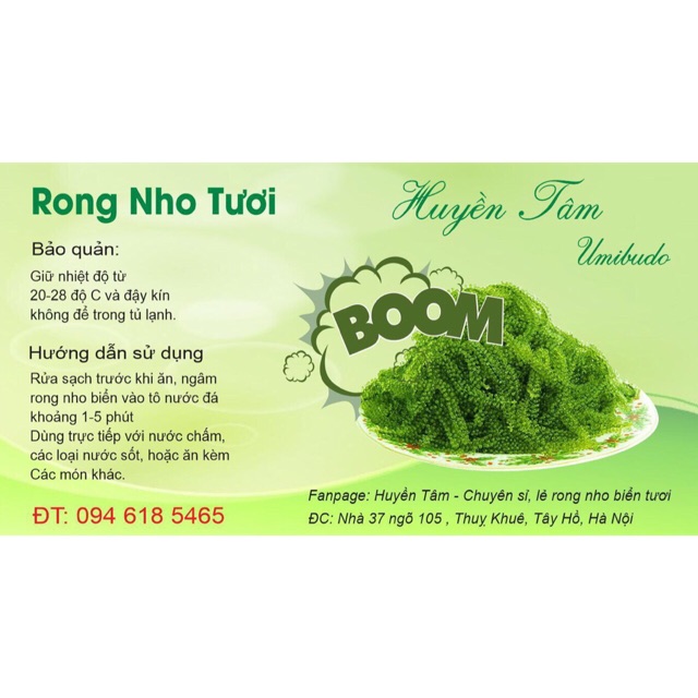 RONG NHO BIỂN TƯƠI NHA TRANG