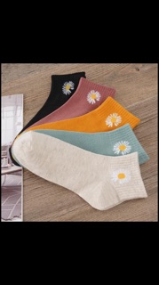 🧦🧦 SET 10 ĐÔI VỚ HOA CÚC HOẠ MI 🌼🌼