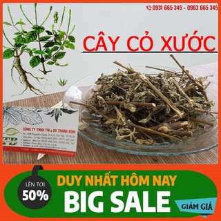 Cây Cỏ Xước 100g - Đảm Bảo Chất Lượng Loại 1