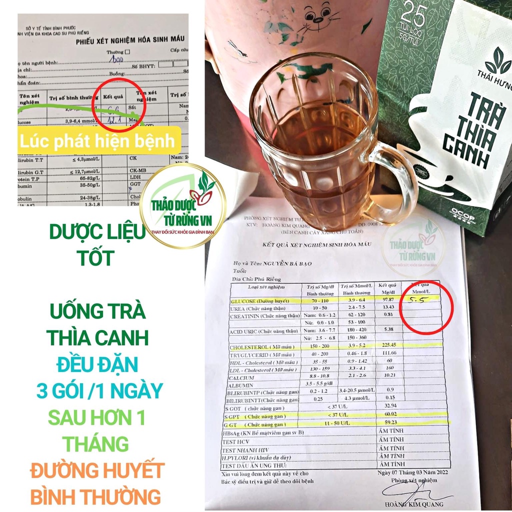 Trà Thìa Canh Thái Hưng Khắc Tinh Của Tiểu Đường 25 Túi Lọc 125g Thảo Dược Từ Rừng VN