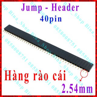 Hàng rào cái, lỗ vuông, chân thẳng hàng rào đơn header jump 40pin 2.54mm