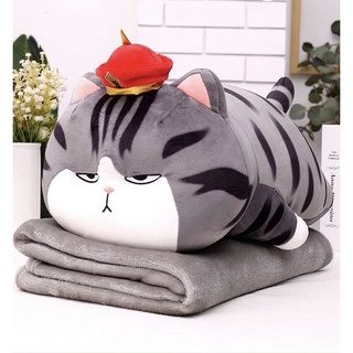 Bộ chăn kèm gối văn phòng đa năng hình mèo hoàng thượng