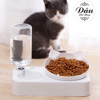 [Rẻ Vô Địch ] - Bát ăn chống gù cho thú cưng