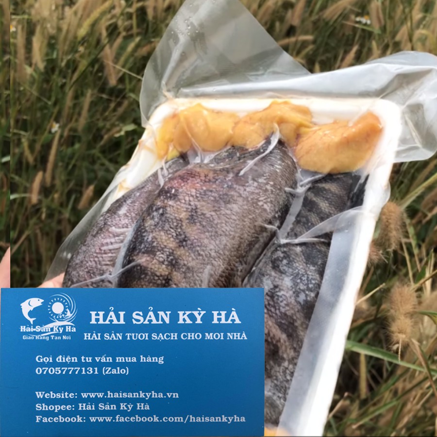 [HCM] Giá Sỉ 1Kg Cá Sặc Trứng 1 Nắng | BigBuy360 - bigbuy360.vn