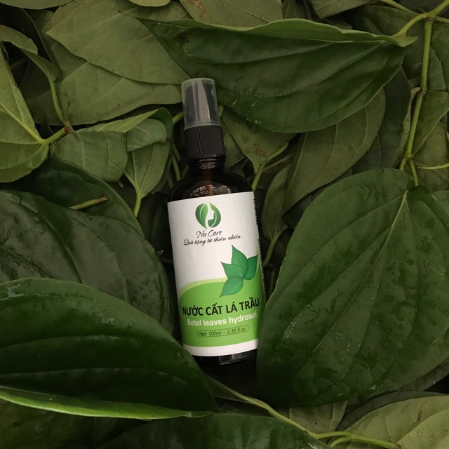 Nước Cất Lá Trầu Không Nguyên Chất 100ml