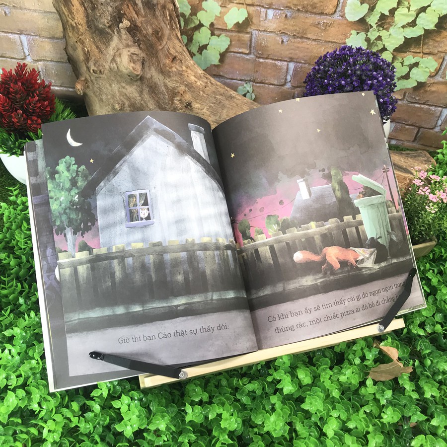 Sách - Câu chuyện khoa học: Bạn Cáo trong đêm