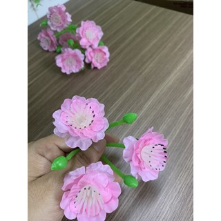 1KG HOA ĐÀO NHẠT CHÙM