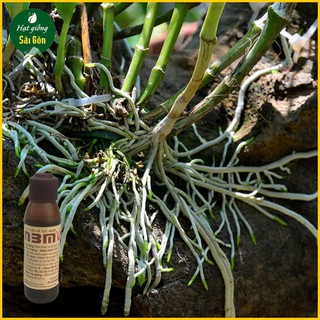 Phân Bón Lá N3M - Kích thích ra rễ (20ml)