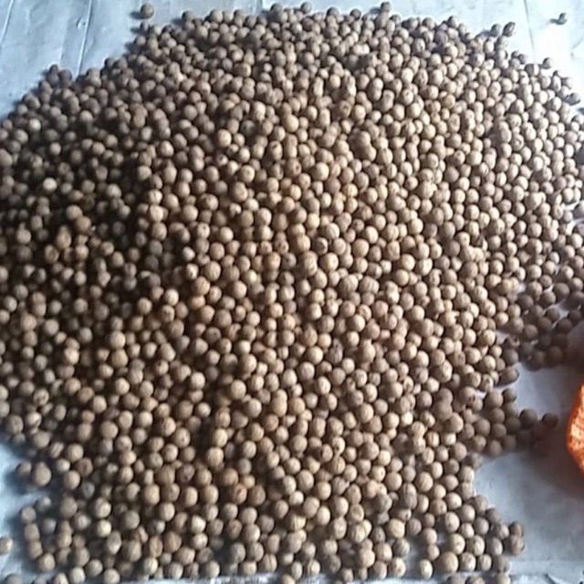 Hạt óc chó rừng 1kg
