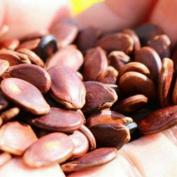 HẠT DƯA NHỎ KHÔNG MÀU LOẠI NGON