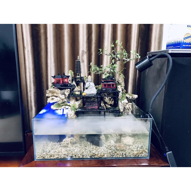 Hồ cá bán cạn mini 40cm - Phong cách Kelsey Mặt Trời Vàng