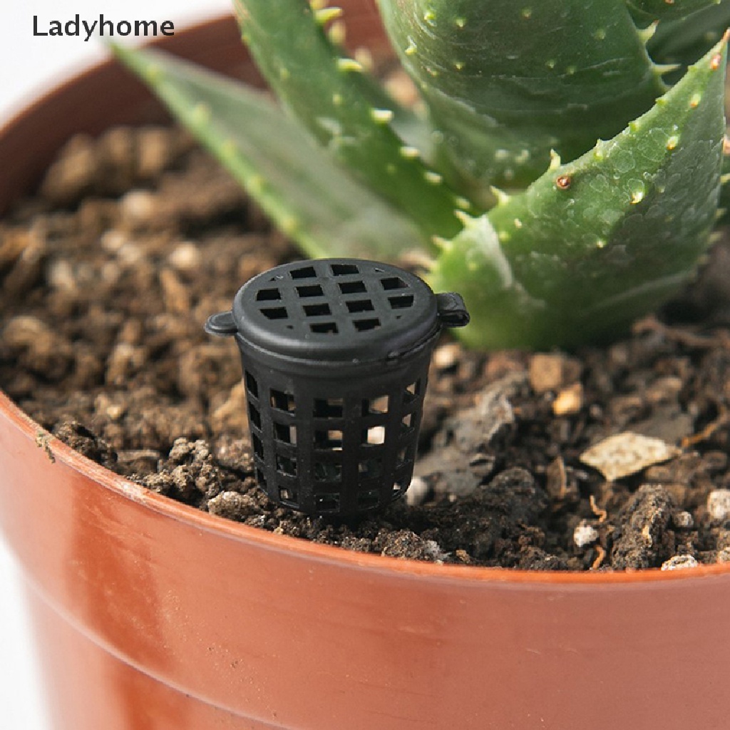 Set 50 Rổ Đựng Phân Bón Cây Cảnh Tiện Lợi