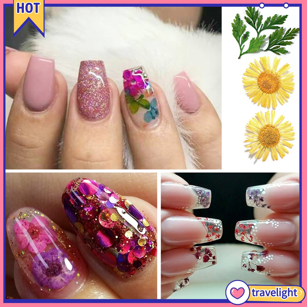 (Travelight) Hộp phụ kiện hoa khô trang trí móng tay