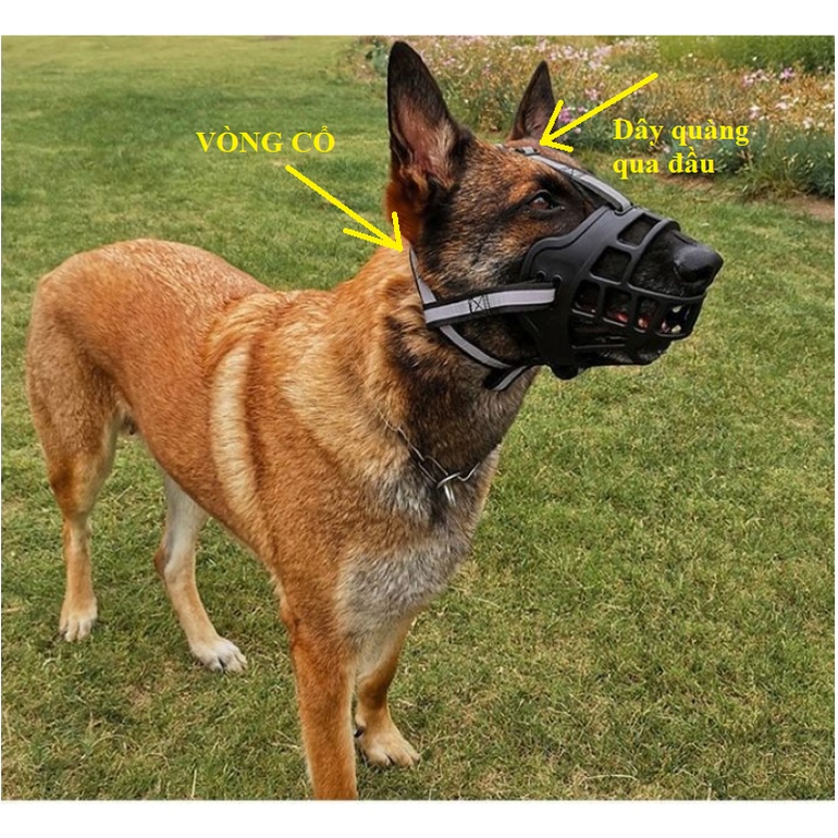 Rọ mõm Chó bằng Silicon mềm mại  - Love pets shop