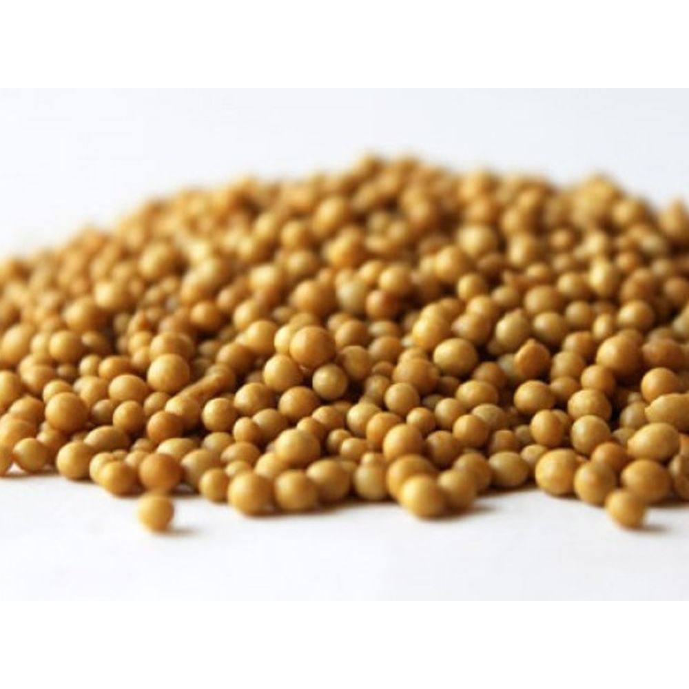 Phân tan chậm hạt vàng - Phân tan chậm Hà Lan OSMOCOTE 14-14-14 gói 1kg bón lan, hồng, cây trông nhà, sen đá xương rồng