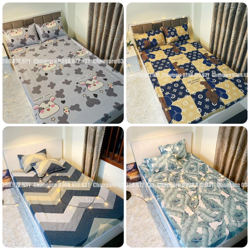 Bộ ga gối cottong poly gấu vương miện mẫu mới năm 2021 đủ kích thước m6 m8 2m