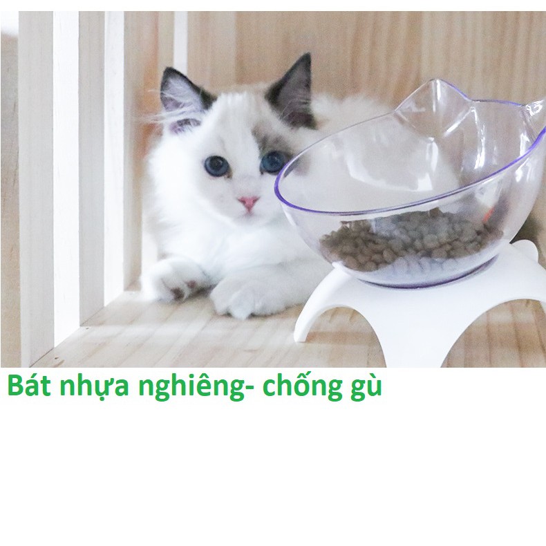 Bát ăn cho chó mèo siêu dày (2 loại bát tròn đơn Bát nghiêng) chất liệu nhựa size nhỏ phù hợp cho mèo và chó