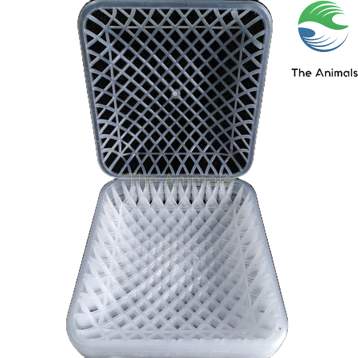 [10 cái] Rổ Đẻ Cho Chim Bồ Câu 20x20cm