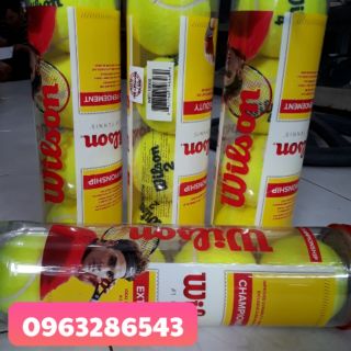 Bóng tenis Wilson 4quả/1lon