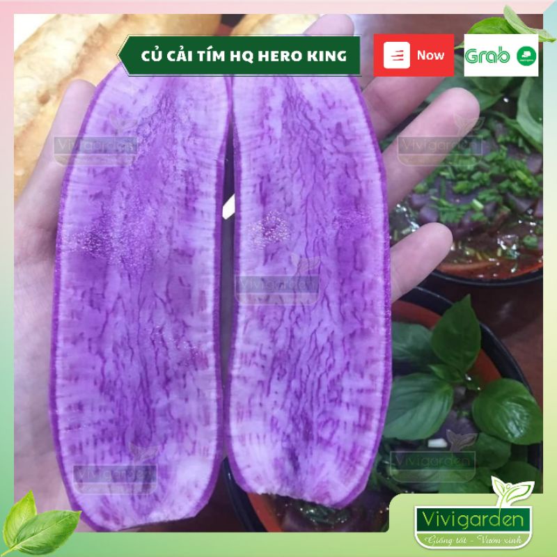 Combo 50 hạt Củ cải Hàn Quốc Tím Hero King siêu ngon củ to dễ trồng và đẹp mắt