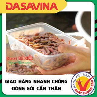 Rươi Tứ Kỳ - Đặc Sản Việt Nam Cao Cấp❤️✅ Chỉ Ship Hỏa Tốc Nội Thành Hà Nội