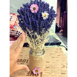 Hoa Khô Lavender