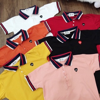 Áo thun thái cổ bẻ siêu đẹp