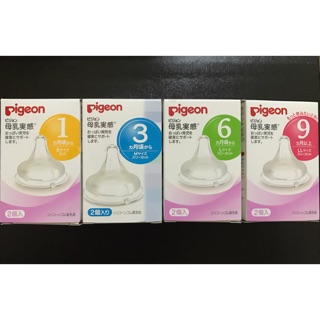 Núm ty pegion bình cổ rộng nội địa
