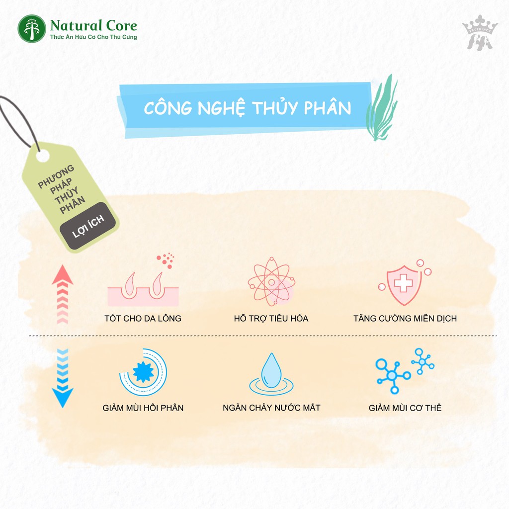 Thức ăn hữu cơ Natural Core ECOC1 cho mèo giảm 99% mùi phân túi 800g - Bivido