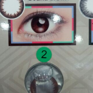 Lens 1 ngày hàng chính hãng