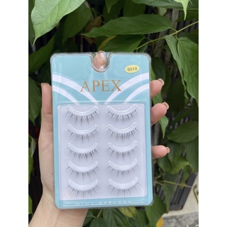 Mi Gân Trong Apex (Lông mi giả gân trong)