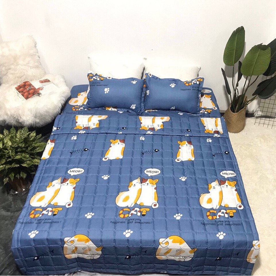 Set 5 Chăn Phao Nhiều Mẫu Đẹp Lựa Chọn Mẫu MÈO CÁT XANH