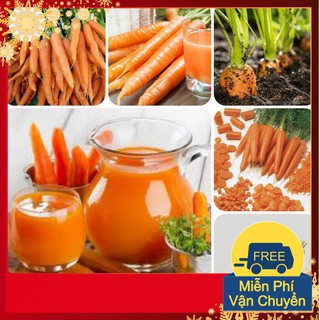 Hạt Giống Cà Rốt F1