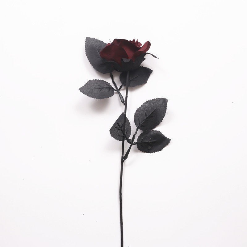 Hình ảnh hoa hồng mô phỏng màu đen cổ điển đạo cụ chụp tạo dáng trang trí cầm thần nữ [được đăng vào ngày 25 thá