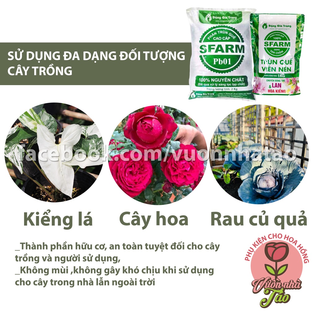 Phân Trùn Quế Viên Nén