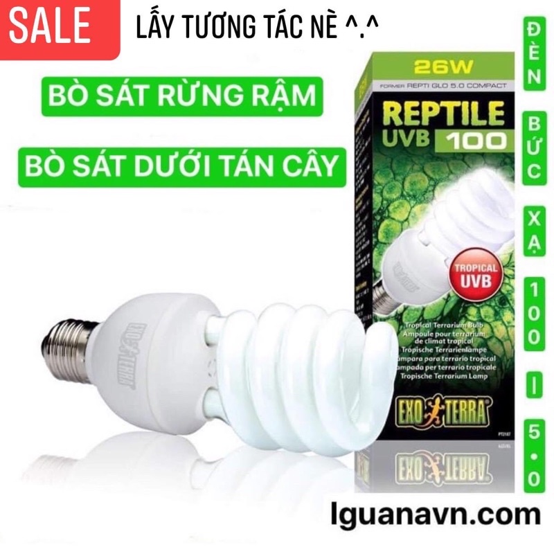 ĐÈN BỨC XẠ UVB 100 / 5.0. DÀNH CHO PET RỪNG NHIỆT ĐỚI NHƯ IGUANA RỒNG NAM MỸ, VẸT, CHIM, GÀ, TRĂN RẮN, EXO TERRA GIÁ SĨ