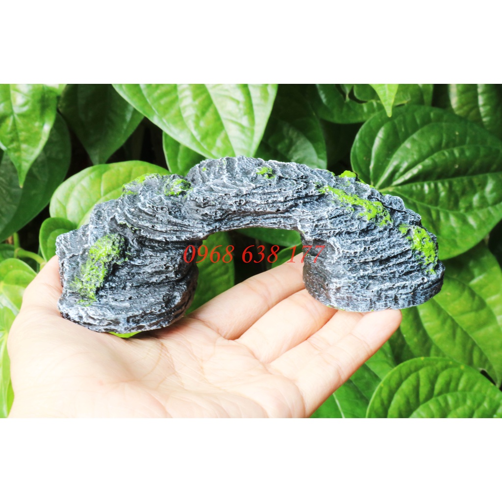 Cầu thang cho rùa, bò sát phơi nắng