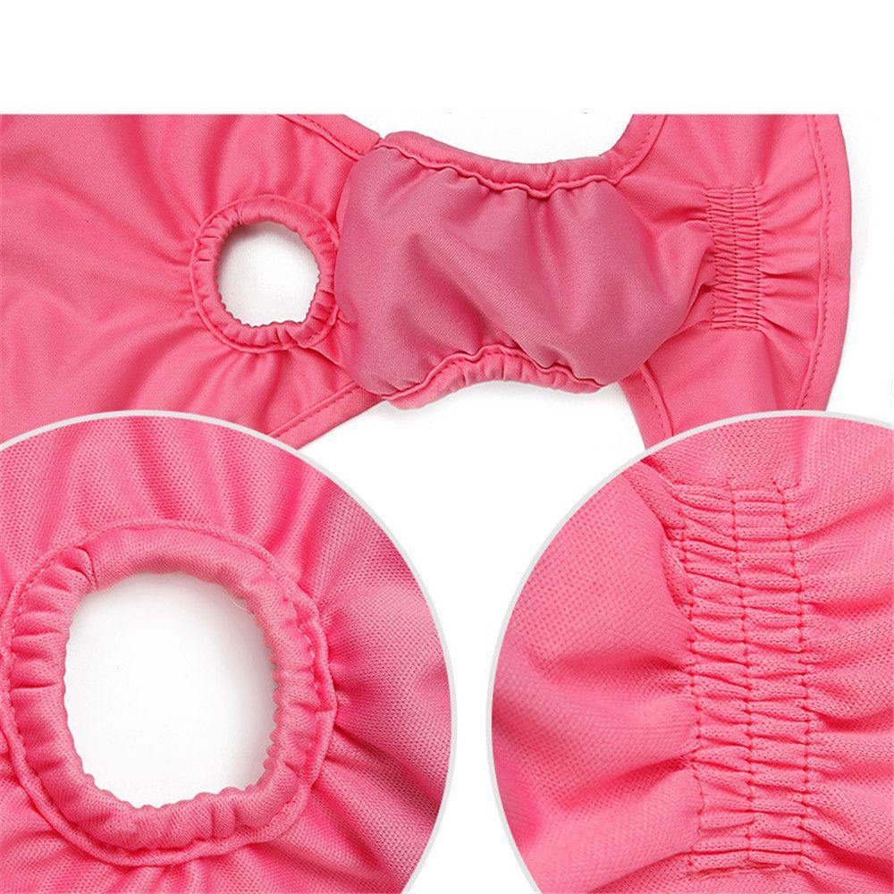 Layor1 Quần Lót Sinh Lý Mềm Mại Thấm Hút Tốt Cho Cún Cưng