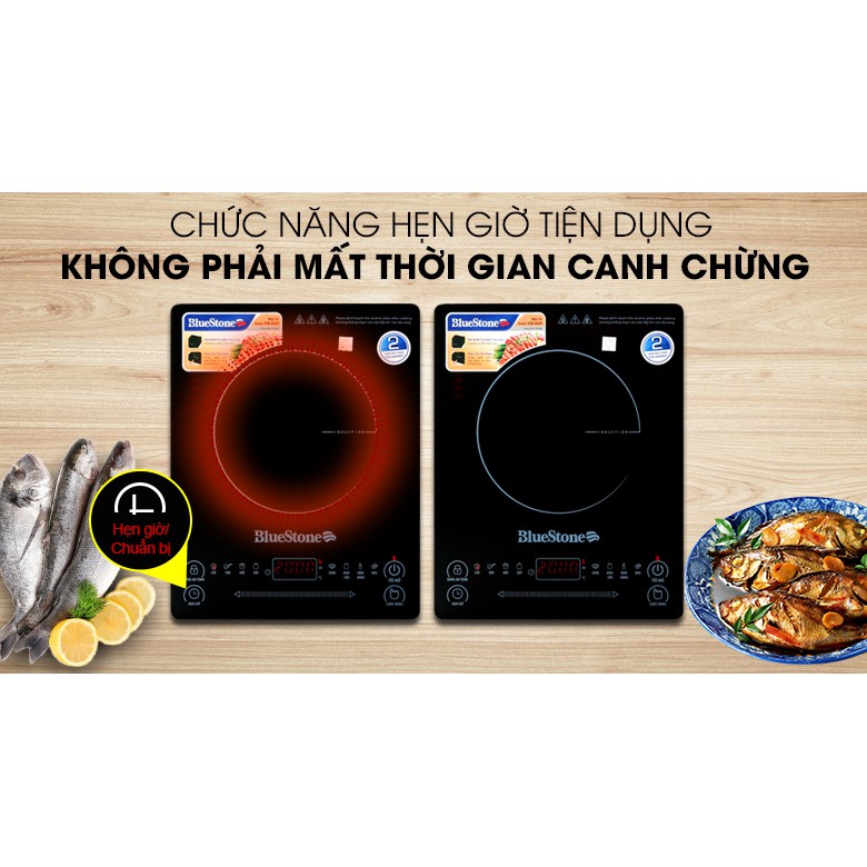 Bếp từ BlueStone ICB-6619