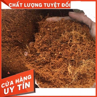 1KG MỤN SƠ DỪA ( ĐÃ QUA XỬ LÝ)