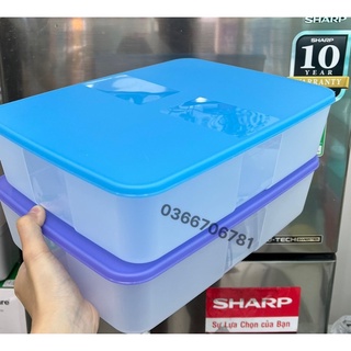 Hộp trữ đông 3.1l tupp